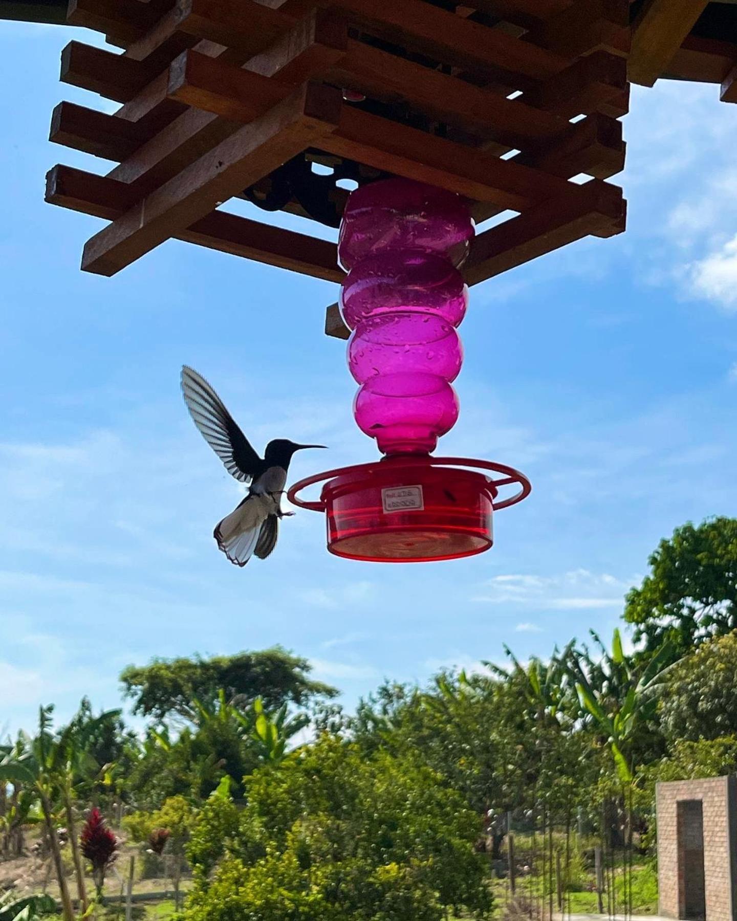 Hotel Casa Campestre Hh 킴바야 외부 사진