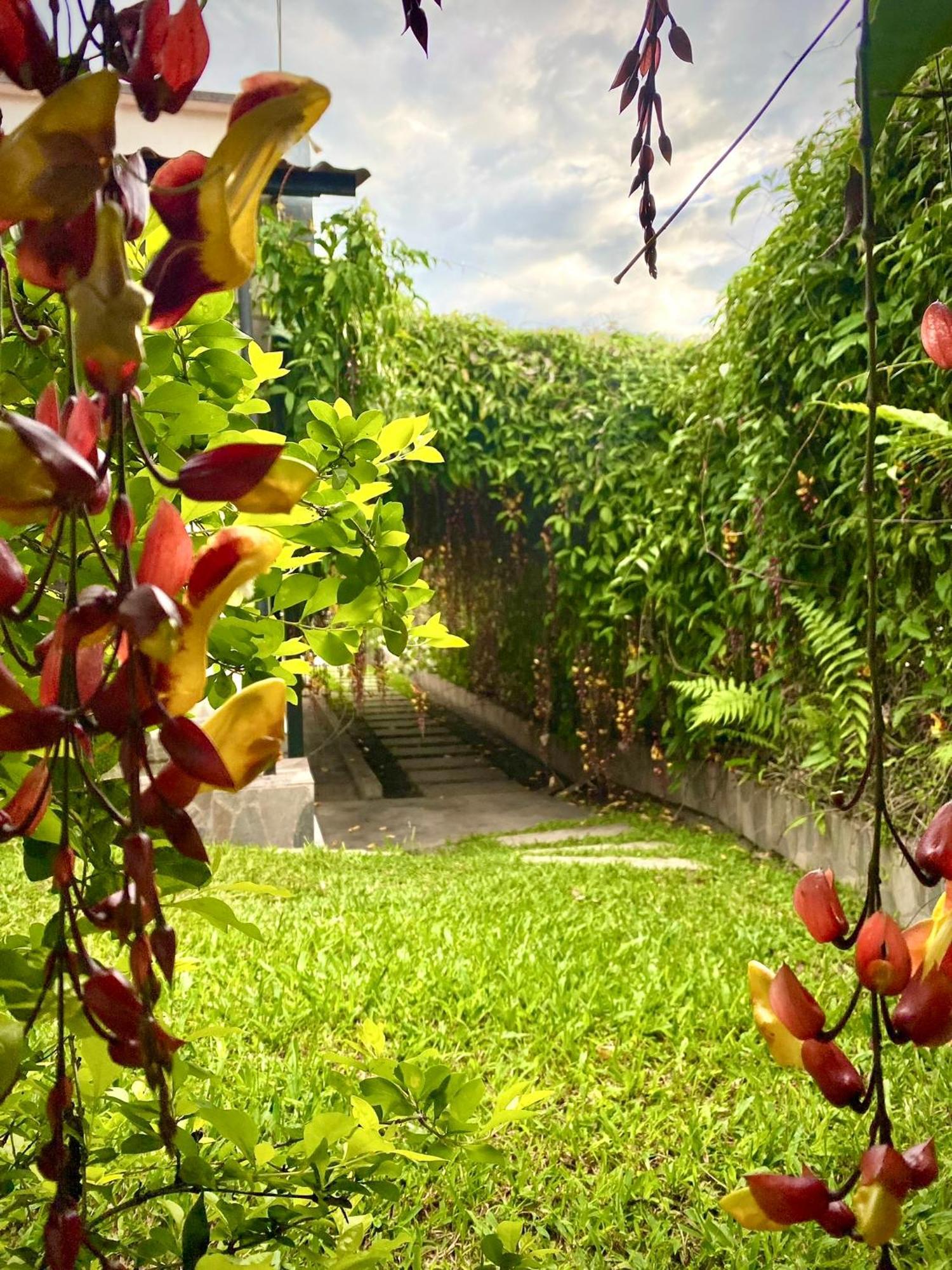 Hotel Casa Campestre Hh 킴바야 외부 사진